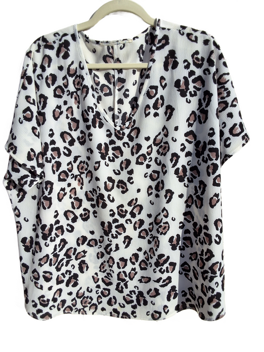 No Label (Size XL)