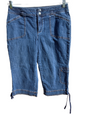 Coldwater Creek (Size 8P) NWOT