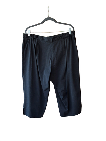 Chico's (Size 3)